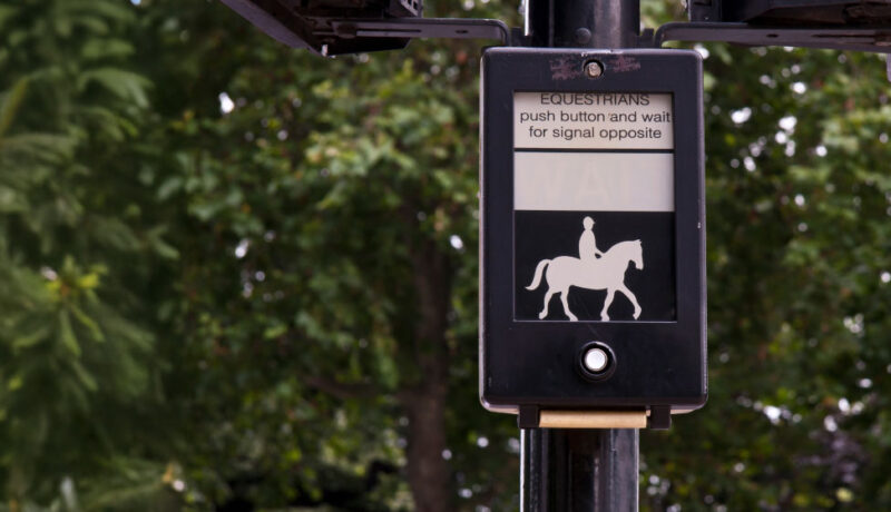 Pegasus crossing: what you need to know