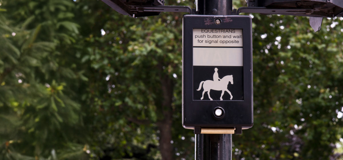 Pegasus crossing: what you need to know